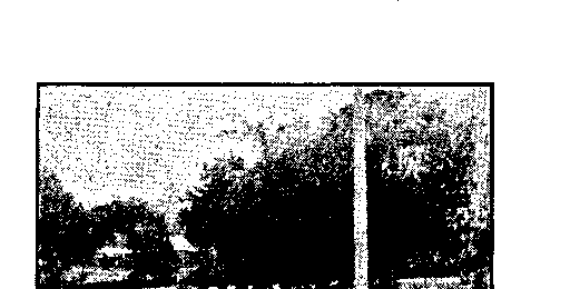 Fichier:Cons 1939-12-13 p14 ill2.png