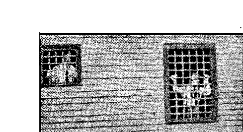 Fichier:Cons 1939-08-23 p13 ill1.png