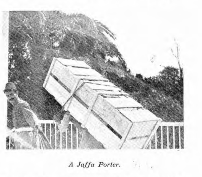 Fichier:Great-pyramid-passages-volume-1-1910-en p198 ill1.png