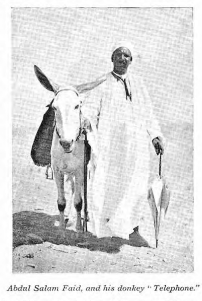 Fichier:Great-pyramid-passages-volume-1-1910-en p265 ill1.png